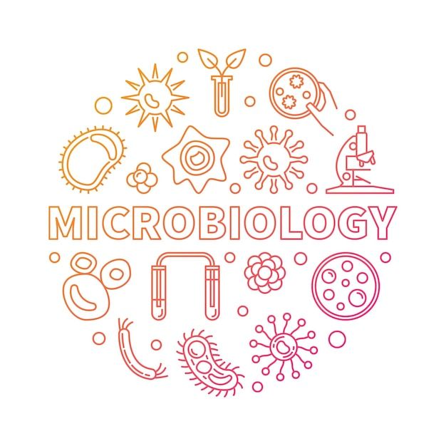themicrobiology.com